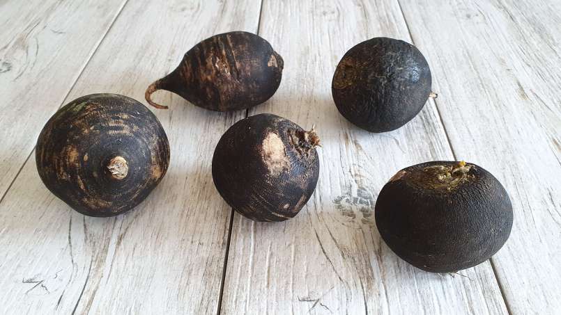 Ridichea - obat ajaib, foto 1