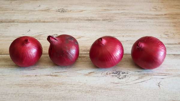 Bawang merah, foto 2