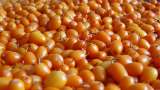 Jus seabuckthorn tanpa pemanis dengan jahe dan lemon - Mempersiapkan tidak 1