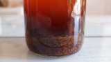 Tingtur propolis - Mempersiapkan tidak 5