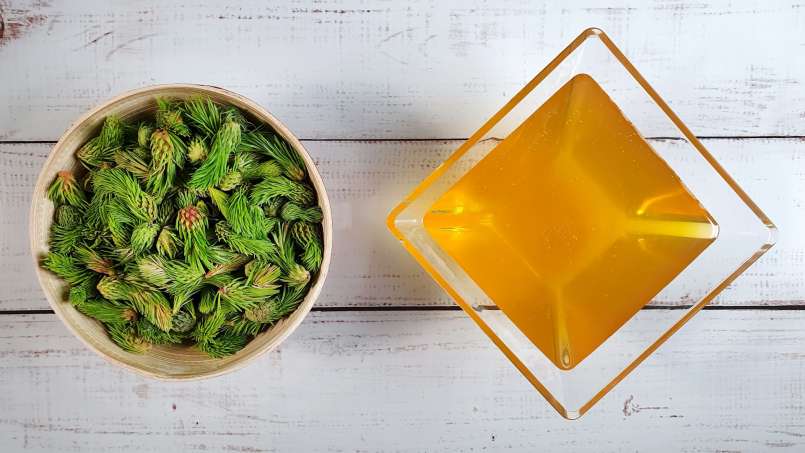 Kuncup pinus yang dimaserasi dengan madu, foto 7