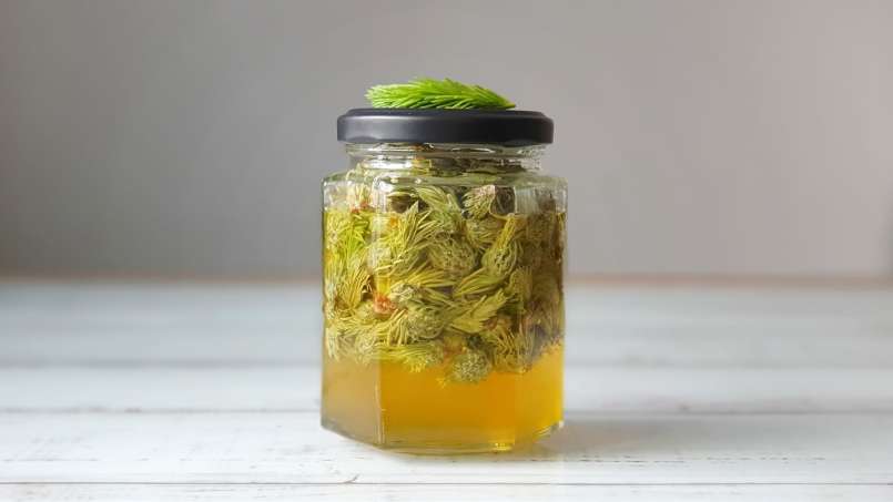 Kuncup pinus yang dimaserasi dengan madu, foto 9