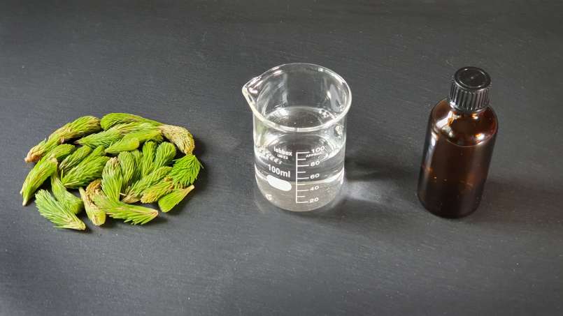 Minuman keras kuncup pinus, foto 6