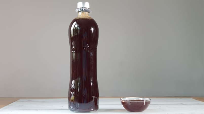 Sirup kuncup pinus, foto 5