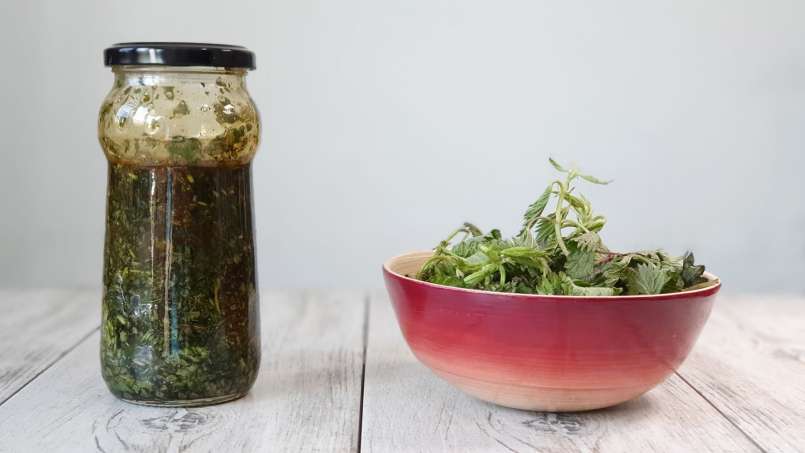 Sirup jelatang dengan madu, foto 1