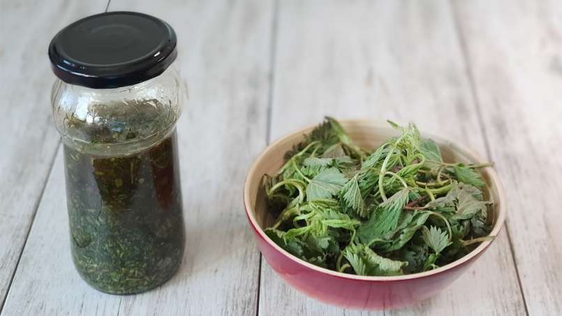 Sirup jelatang dengan madu, foto 2