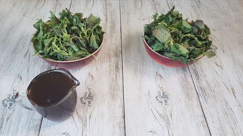 Sirup jelatang dengan madu, foto 4