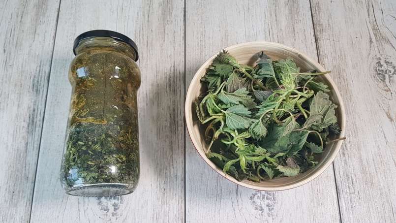 Sirup jelatang dengan madu, foto 6