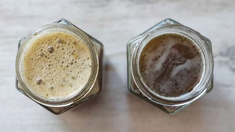 Sirup jelatang dengan madu, foto 12