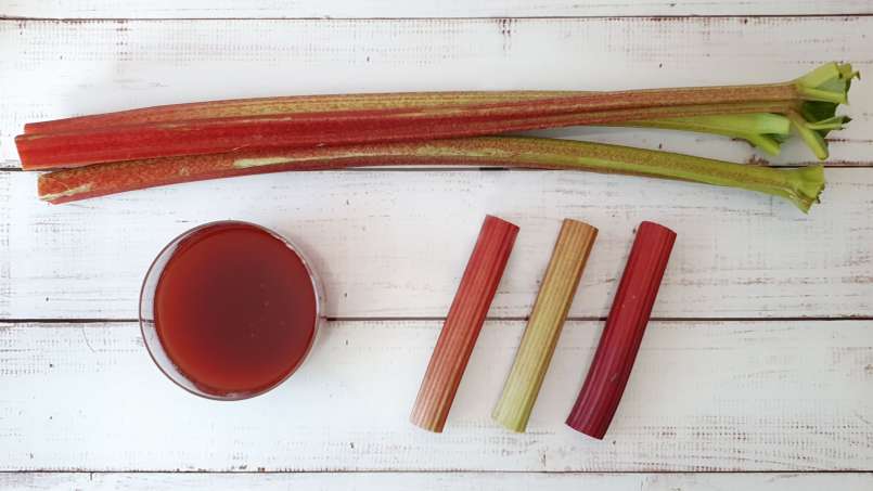 Sirup rhubarb, foto 2