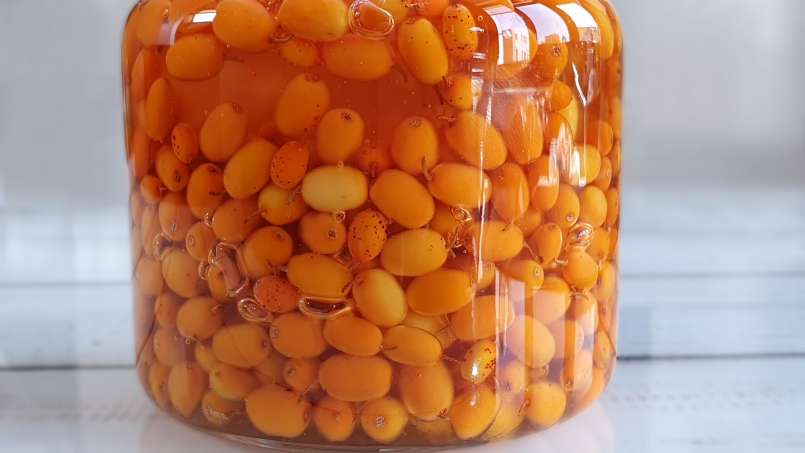 Maserasi seabuckthorn laut yang diberi madu, foto 5