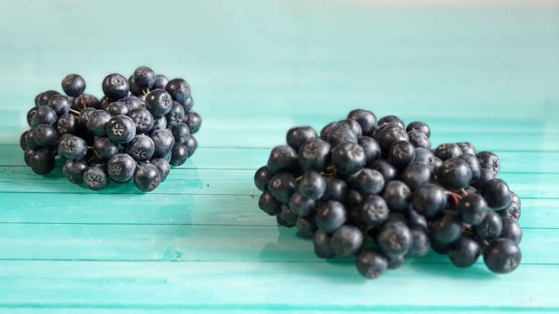 Sirup aronia dengan madu, foto 9