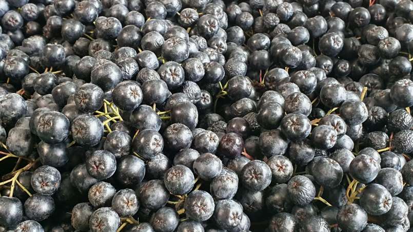 Sirup aronia dengan madu, foto 10