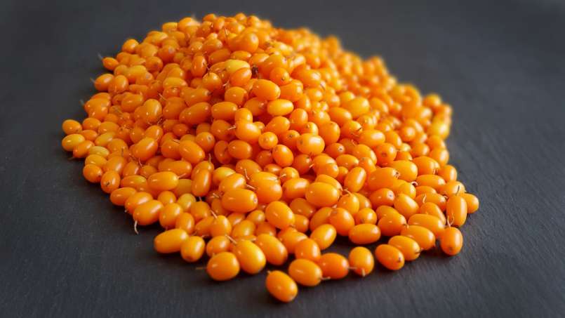 Maserasi seabuckthorn dengan jahe dan madu, foto 2
