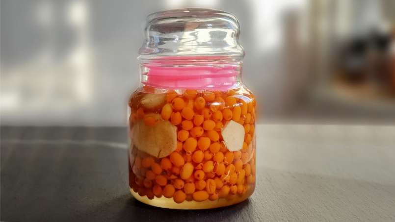 Maserasi seabuckthorn dengan jahe dan madu, foto 5