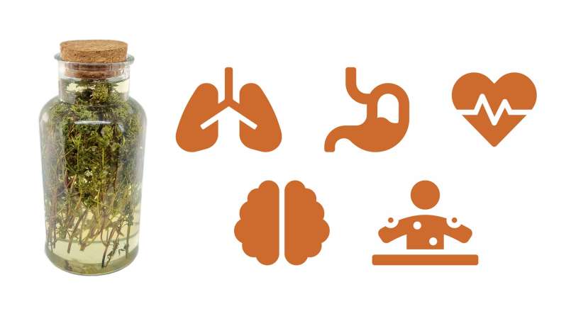 Maserasi timi dengan madu, foto 1