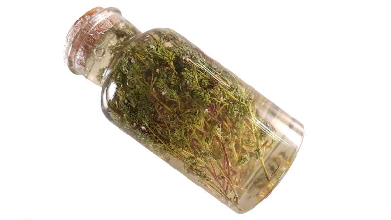 Maserasi timi dengan madu, foto 4