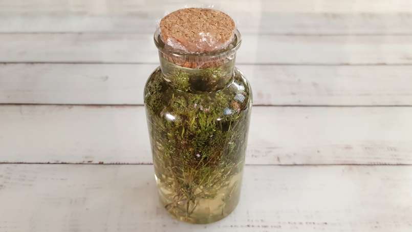 Maserasi timi dengan madu, foto 6