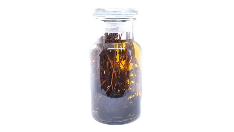 Tingtur timi, foto 2