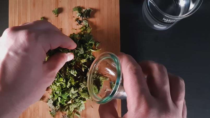 Larutan jelatang bersih, foto 2