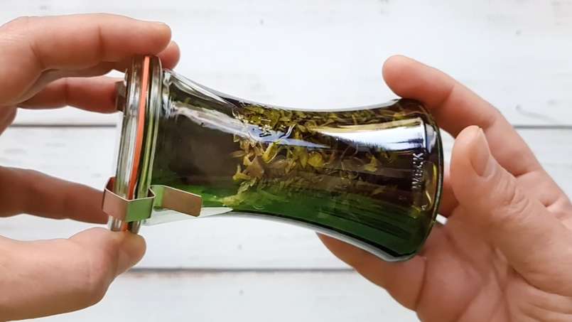 Larutan jelatang bersih, foto 3