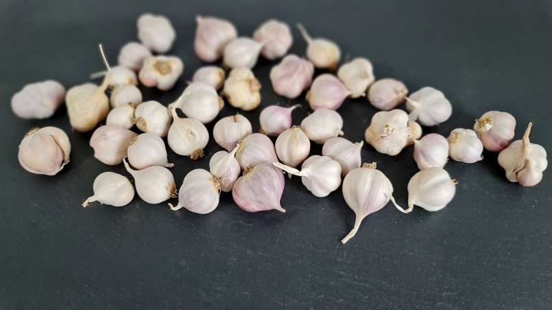 Bawang putih utuh di pagi hari saat perut kosong, foto 6