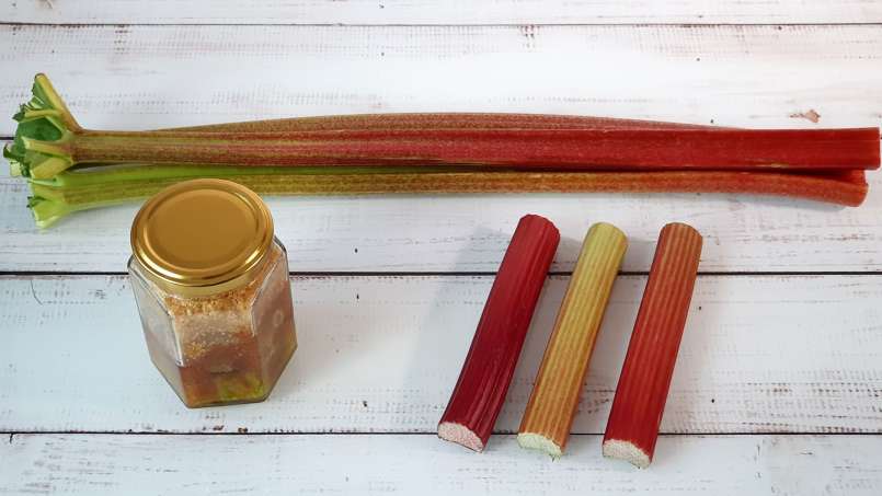 Sirup rhubarb dengan gula maserasi, foto 6