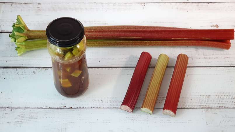 Maserasi rhubarb dengan madu dan jahe, foto 6