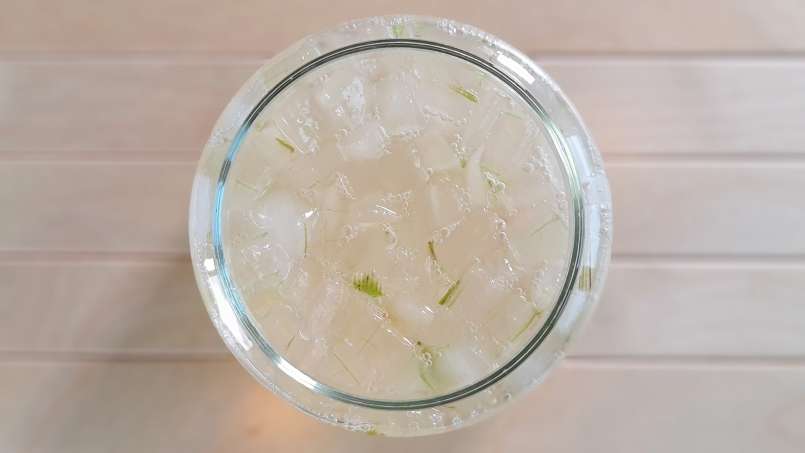 Ekstrak Aloe Vera dengan madu, foto 4