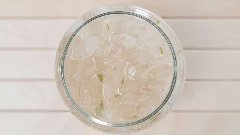 Ekstrak Aloe Vera dengan madu, foto 5