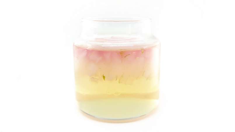 Ekstrak Aloe Vera dengan madu, foto 14