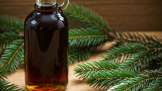 Sirup kuncup cemara
